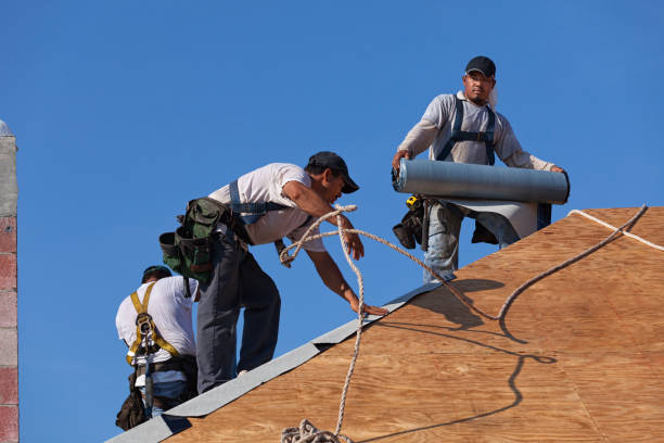 Best Gutter Installation and Roofing  in Karns, TN